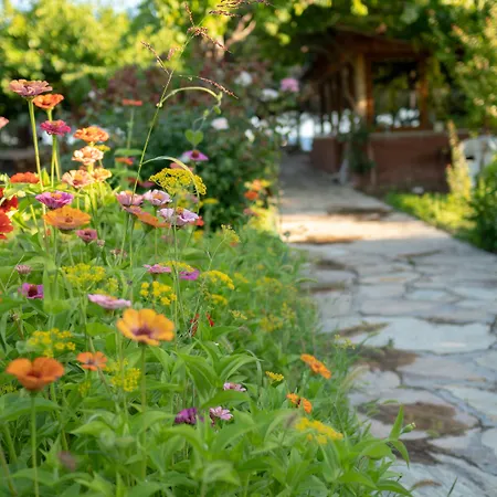 Ova Butik Penzion Mesudiye (Datca)