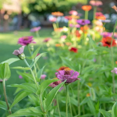 Penzion Ova Butik 3*